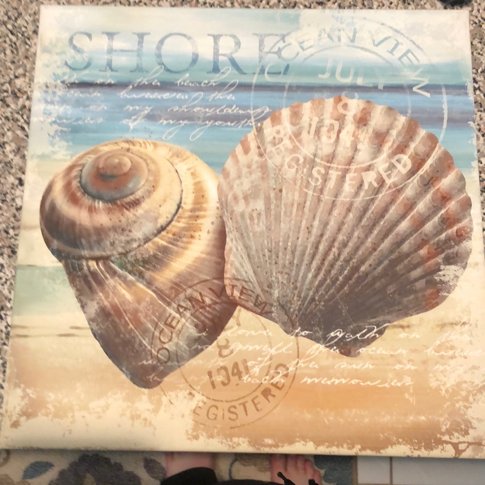 Seashell canvas print